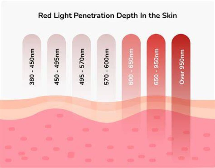Red Light Therapy At Planet Fitness: Reviews And Benefits